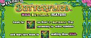 butterflies-1