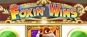 foxin-wins-1